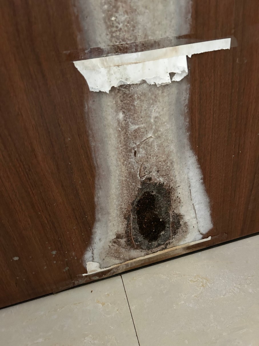 Hotel Sea Fans-旅行者