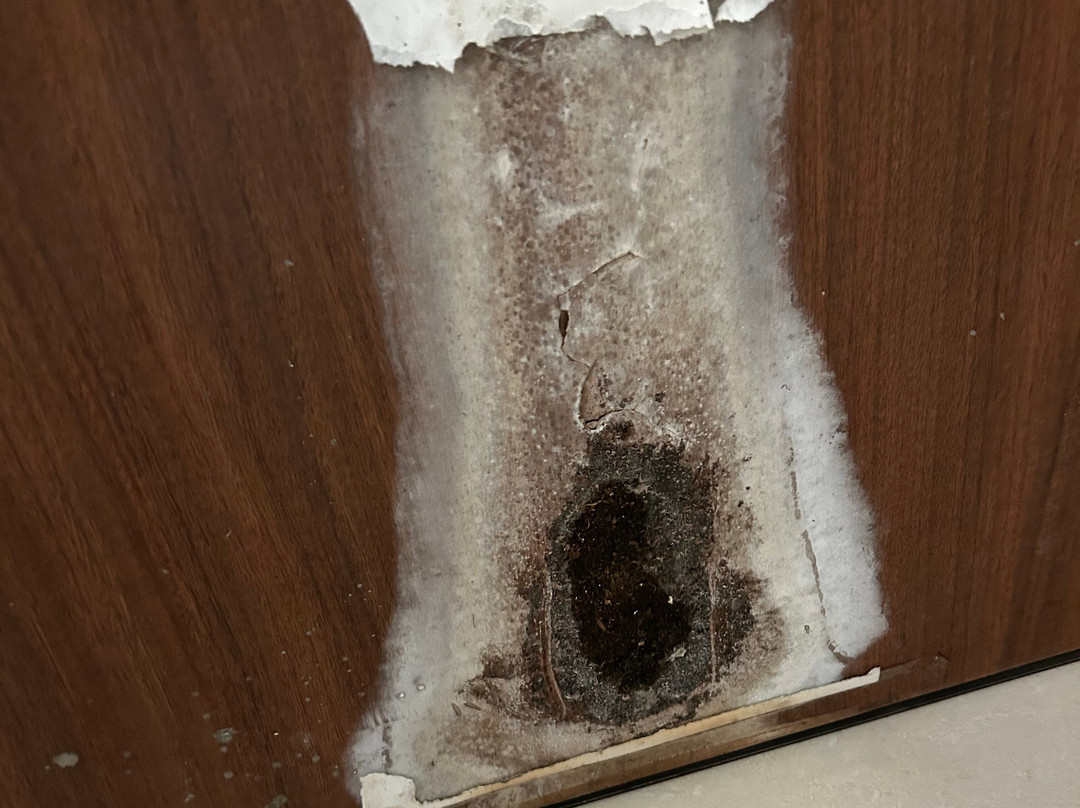 Hotel Sea Fans主图