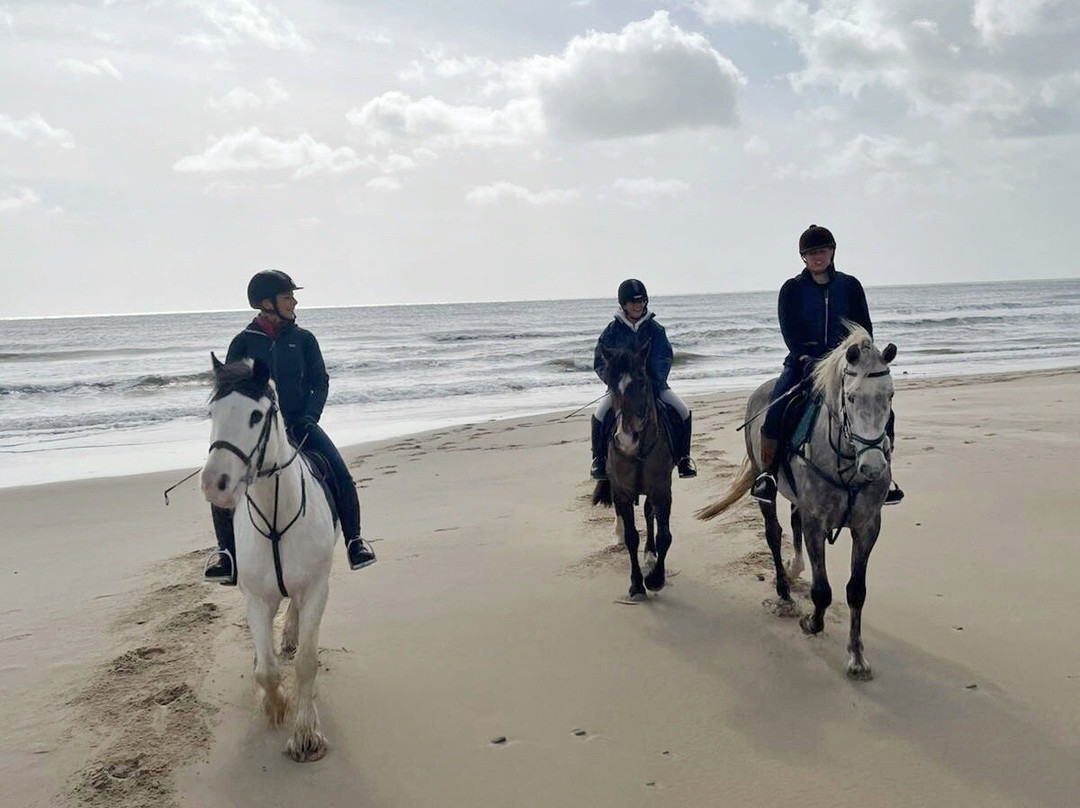 Shrule Equestrian Centre-Gorey必去景点