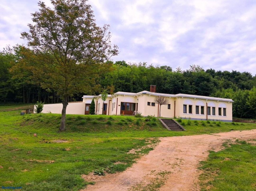Elephant guesthouse