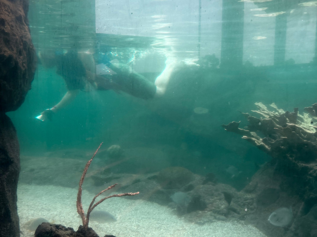 Ocean World Adventure Park, Puerto Plata-普拉塔港必去景点