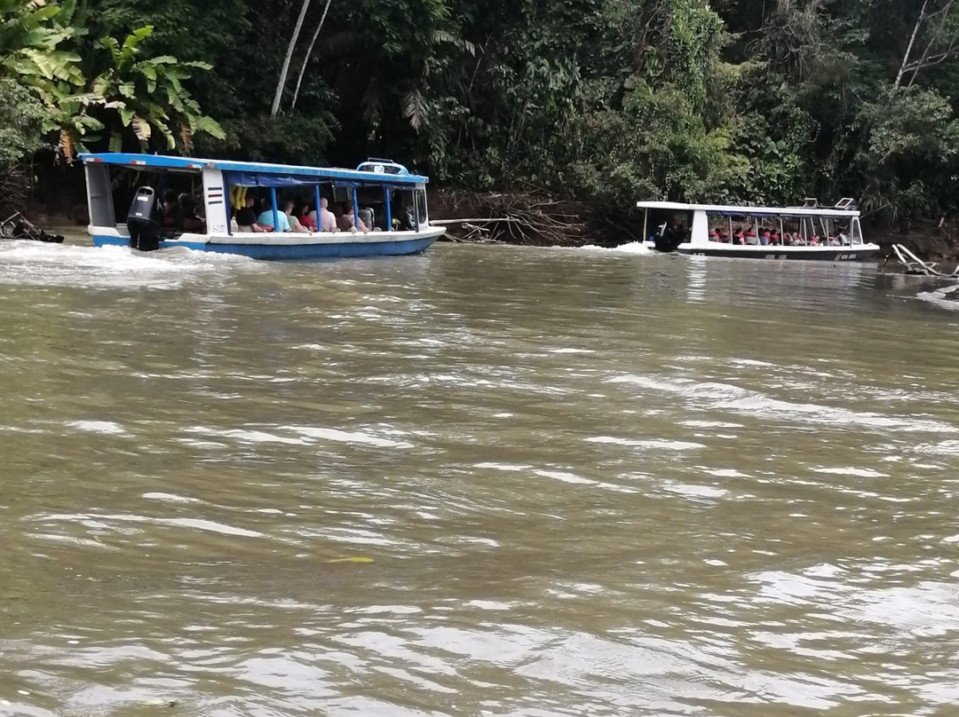 Tortuguero Tours-托图杰多必去景点