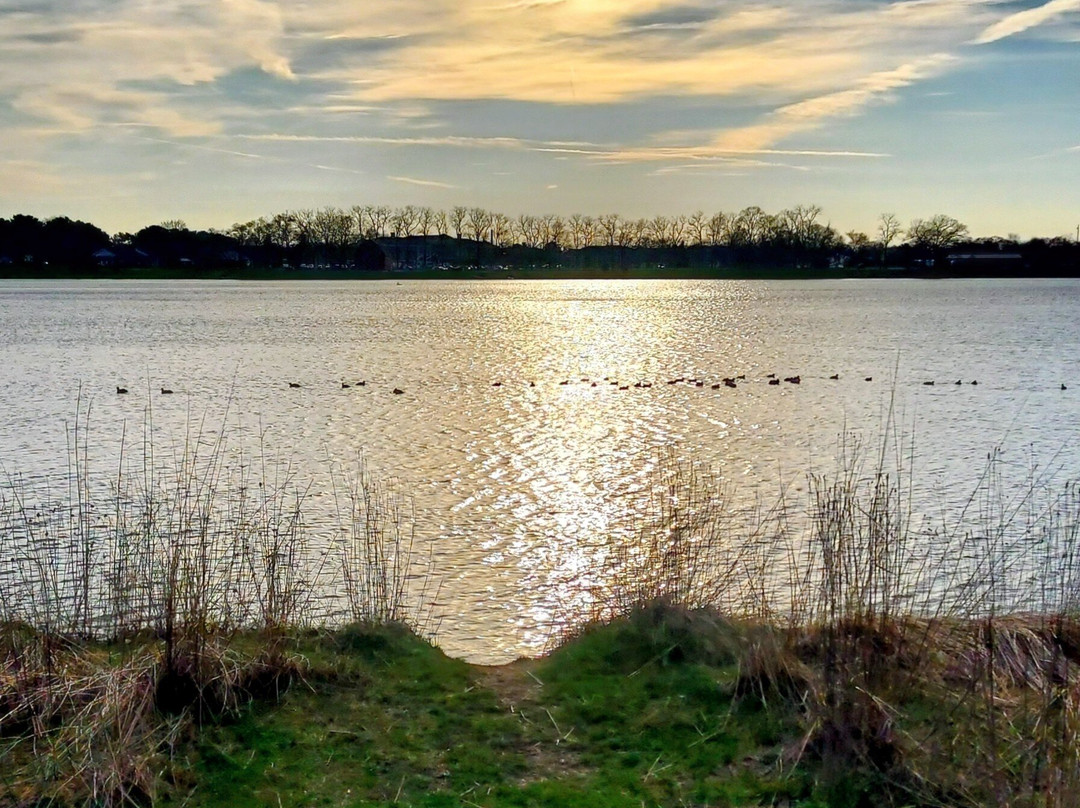 Fidler Pond Park-Goshen必去景点