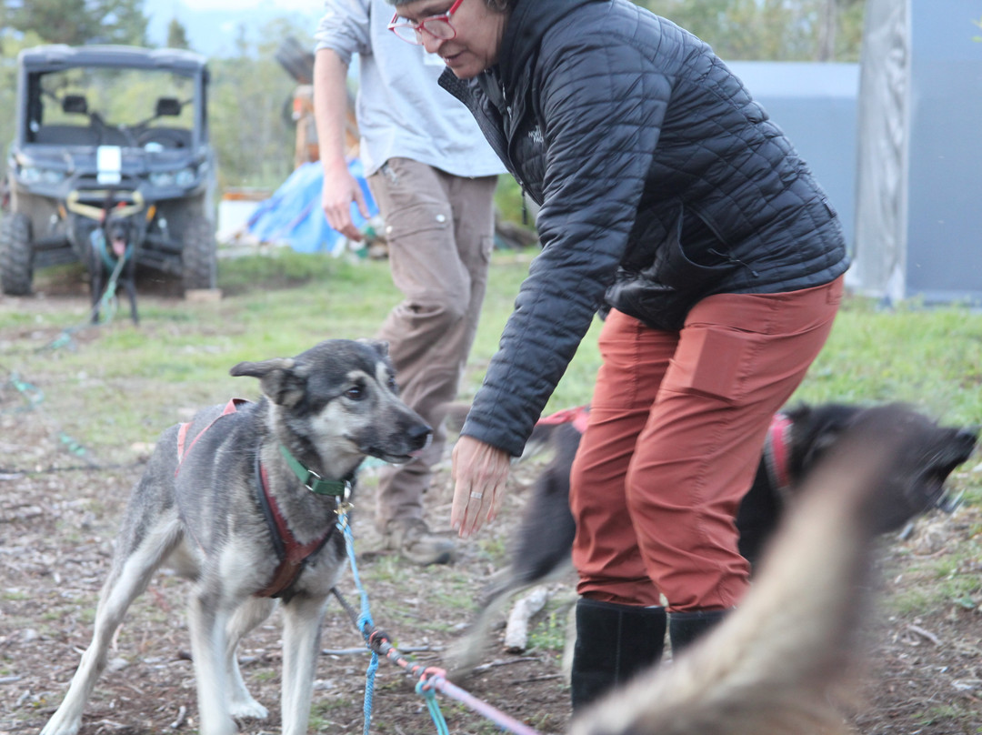 Waylon's Way Dog Sledding-McCarthy必去景点