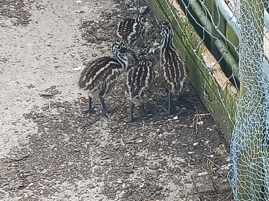 Butterfly World & Farm Park-Wanborough必去景点