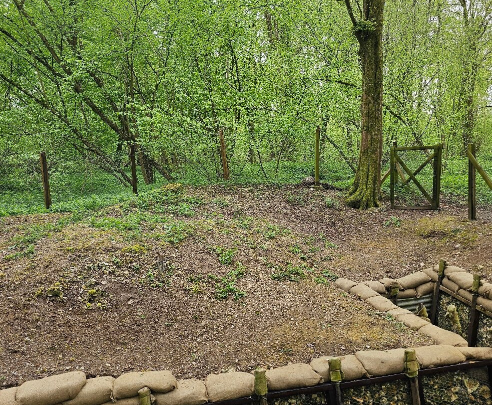 Ulster Memorial Tower & Thiepval Wood-Thiepval必去景点