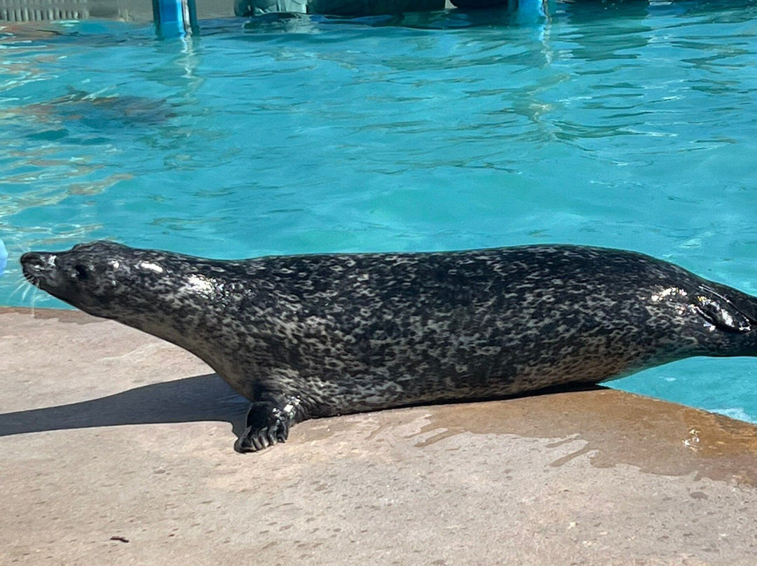 Natureland Seal Sanctuary-斯凯格内斯必去景点