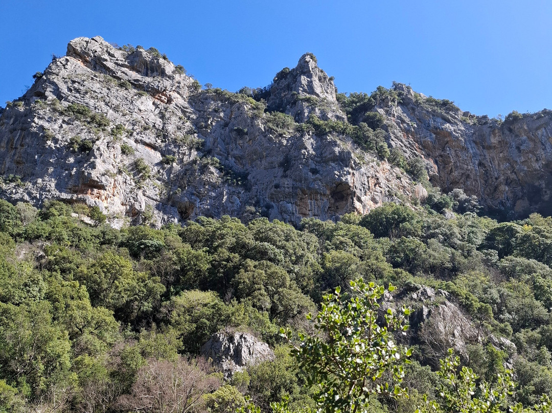 Lousios Gorge-Dimitsana必去景点