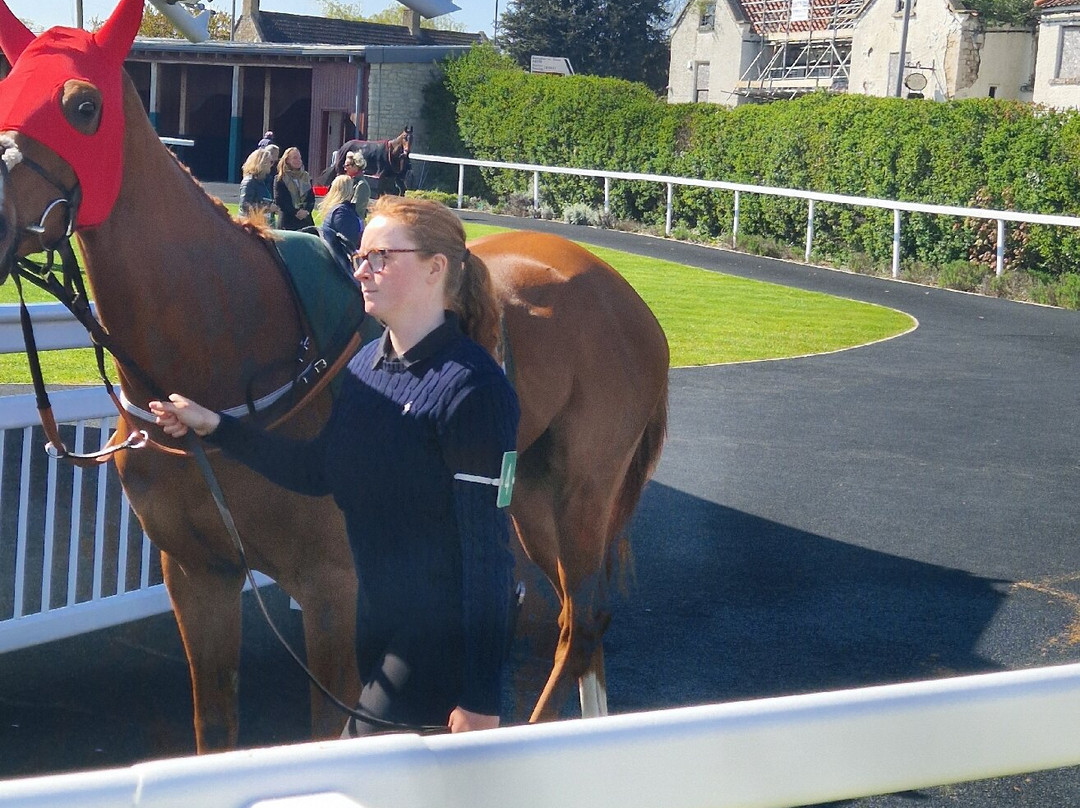 Catterick Racecourse-Catterick必去景点