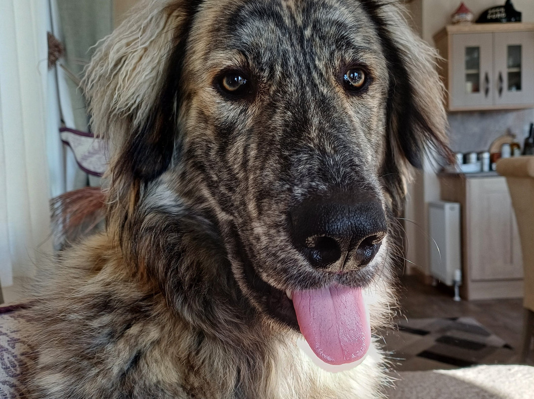 Southview Holiday Park