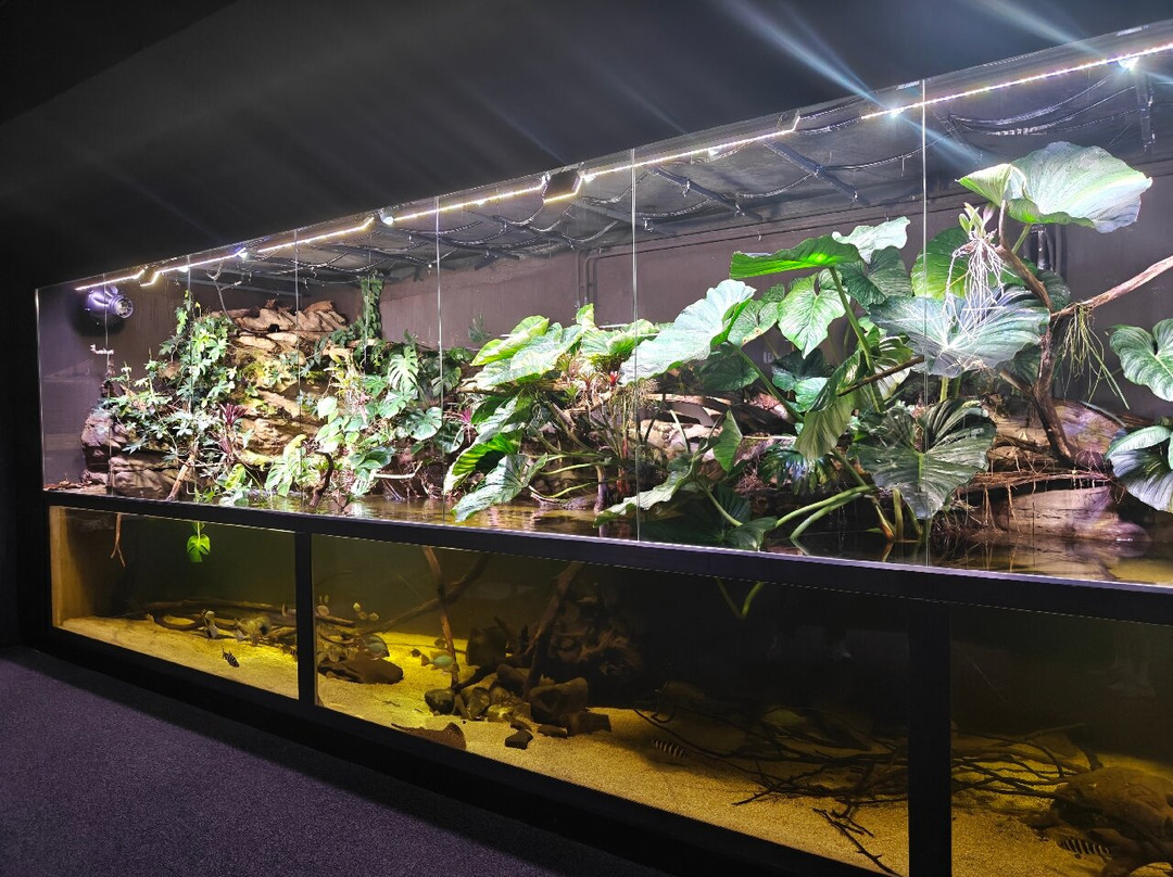 Neotropica, Postojna, Slovenia-波斯托伊纳必去景点