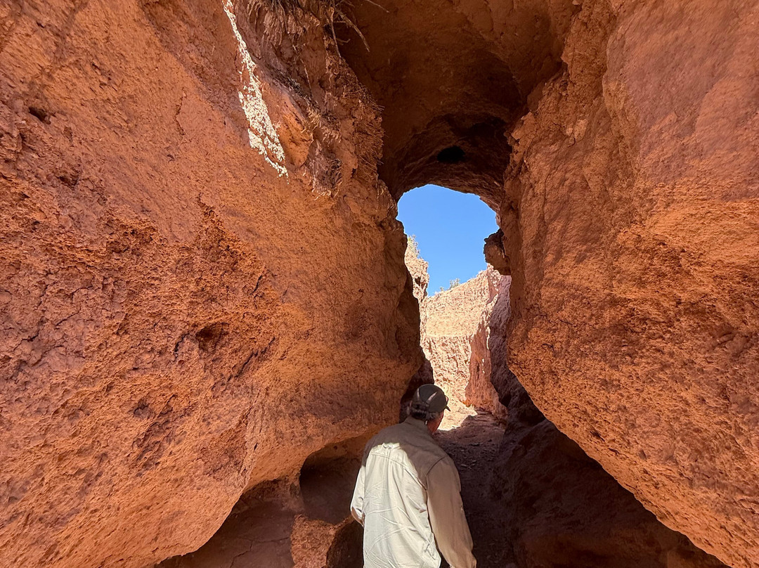 New Mexico Jeep Tours-阿尔伯克基必去景点