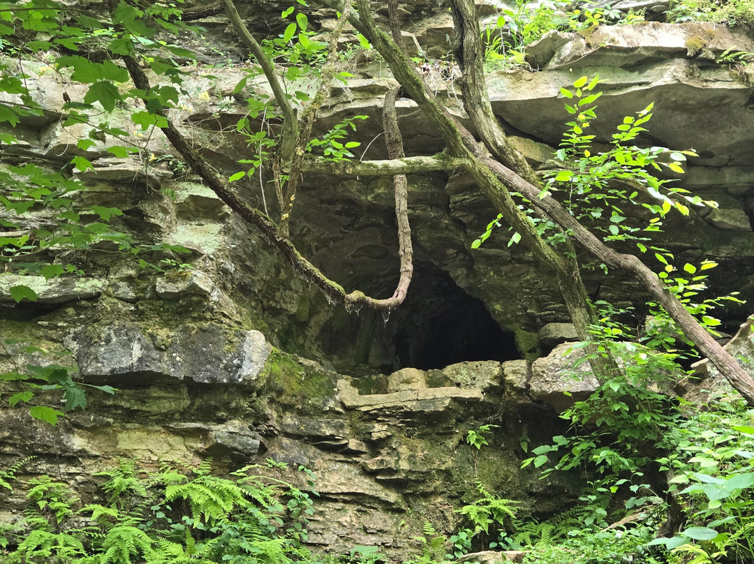 Jackson Falls-杰克逊必去景点