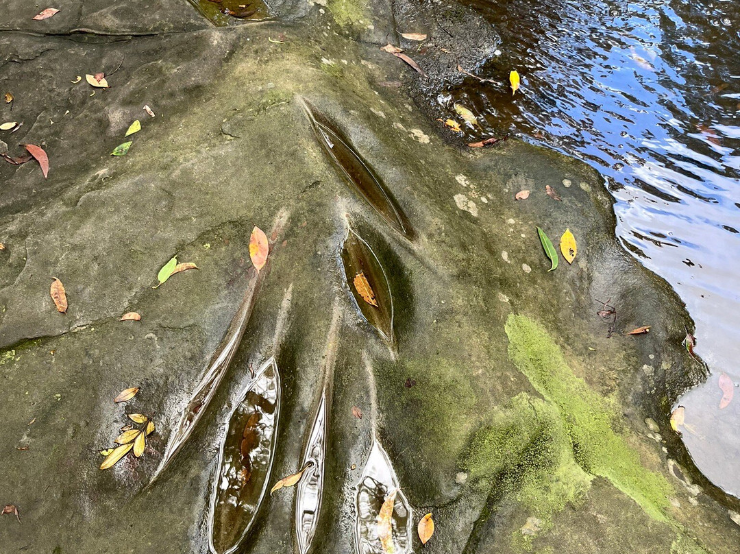 Little Rocky Creek-Landsborough必去景点