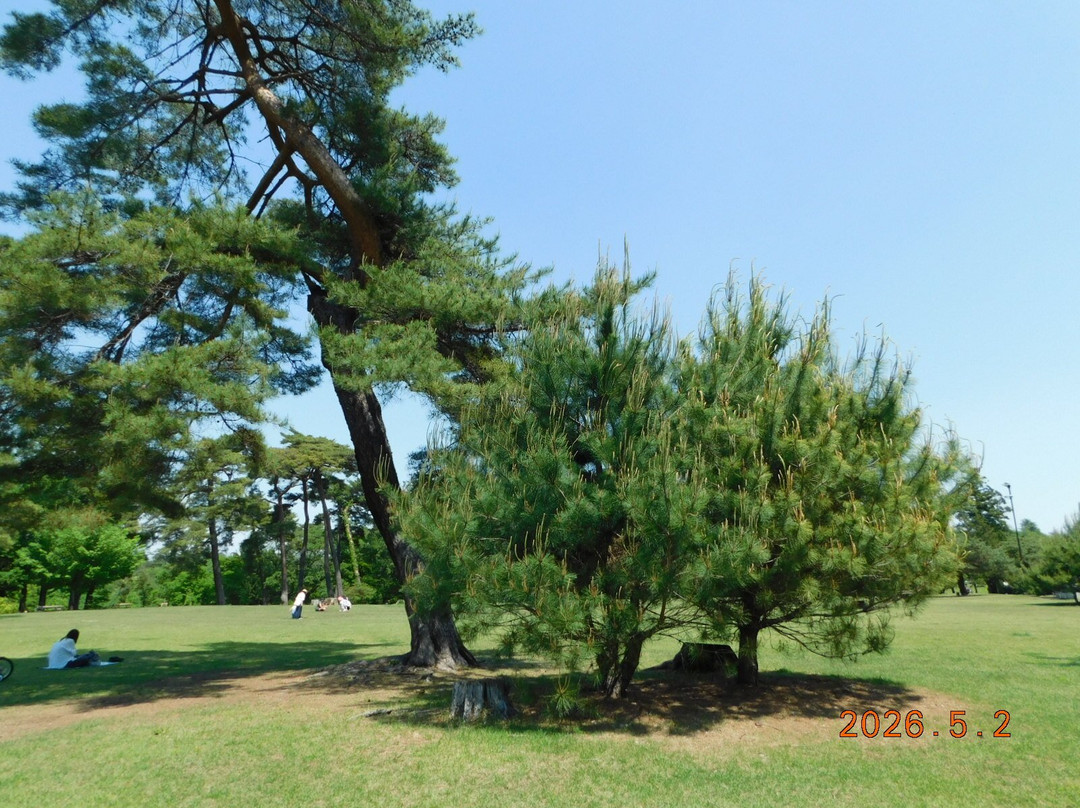 Sayama Inariyama Park-狭山市必去景点