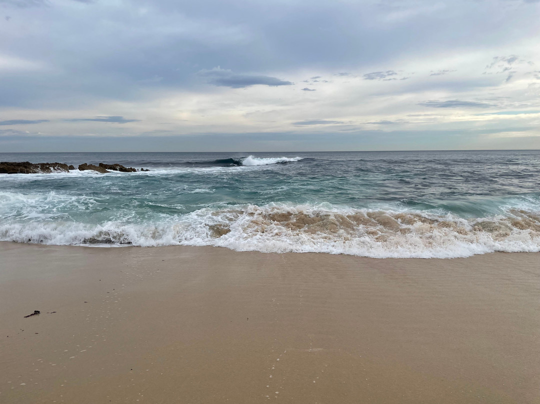 Koonya Beach-Blairgowrie必去景点
