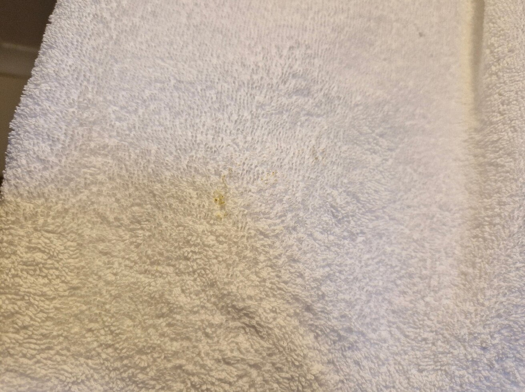霍巴特塔汽车旅馆主图