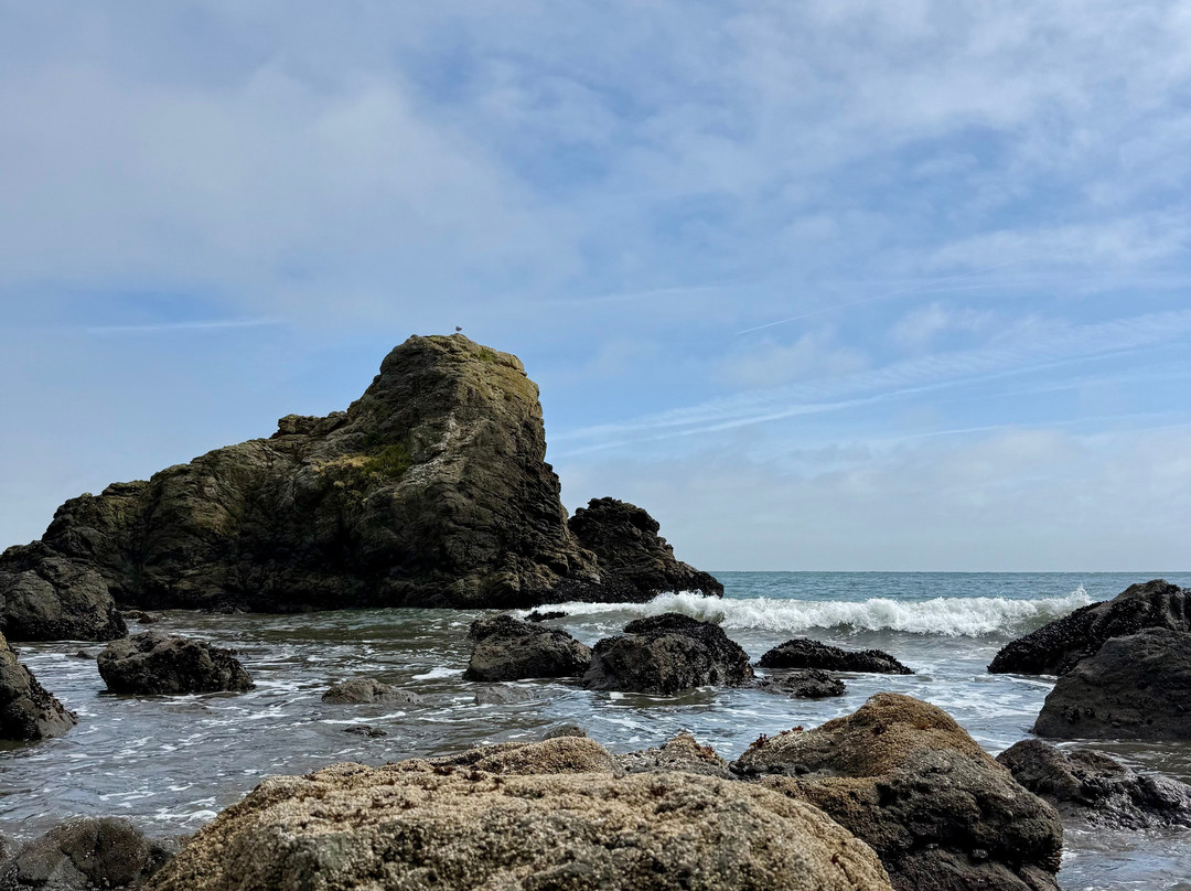Muir Beach-Muir Beach必去景点