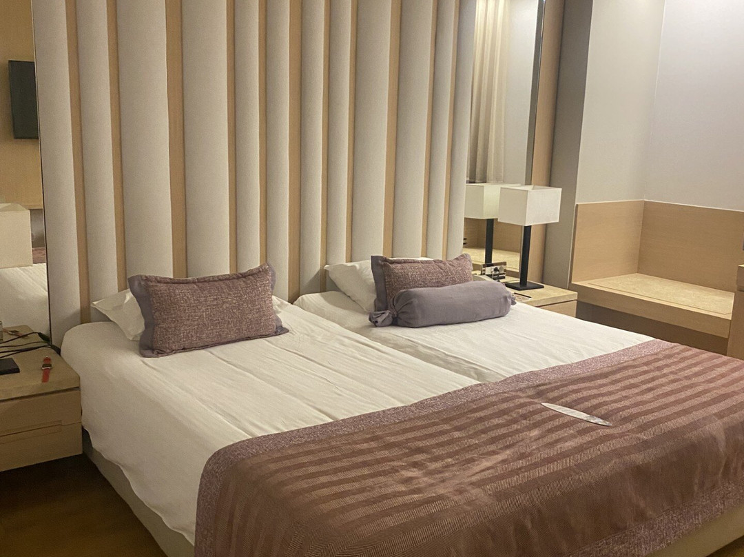 迪瓦尼卡拉维尔酒店主图