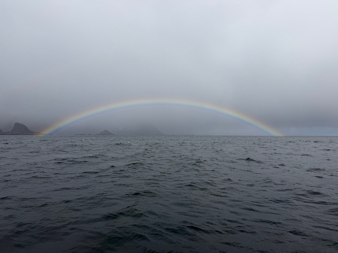 Arctic Spearfishing & guided fishing-Ballstad必去景点