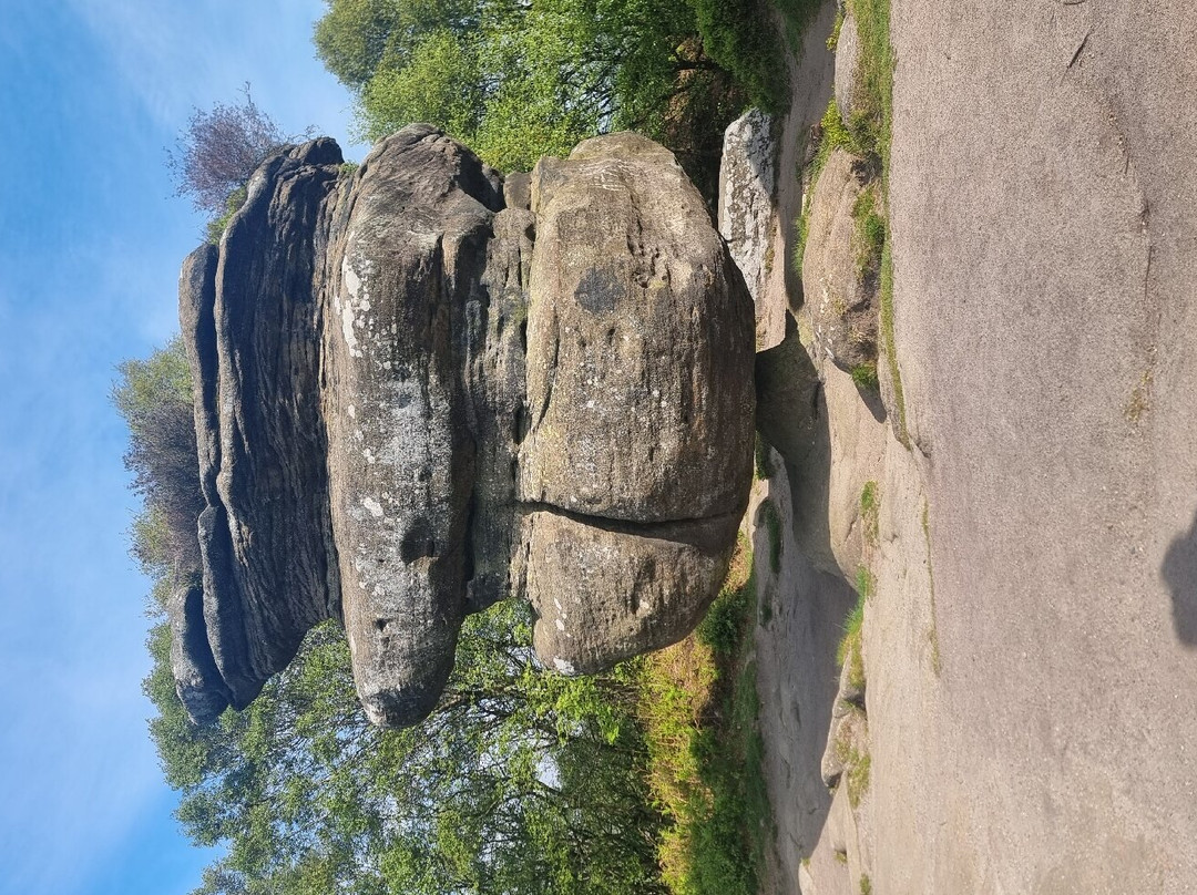 Brimham Rocks-哈罗盖特必去景点