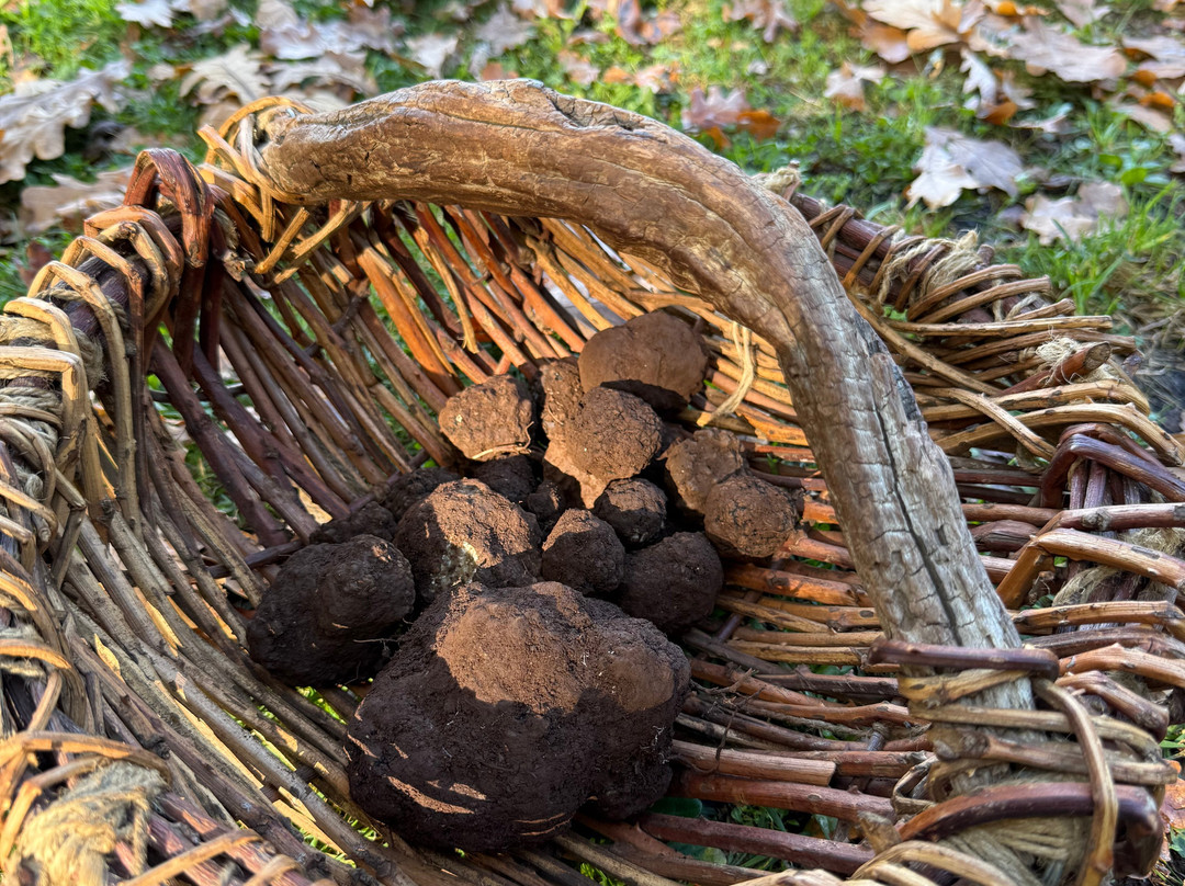 The Truffle Farm Tasmania-德洛兰恩必去景点