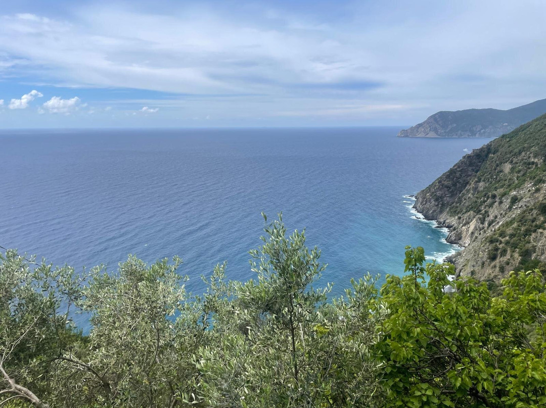 Ittiturismo Corniglia SP4488