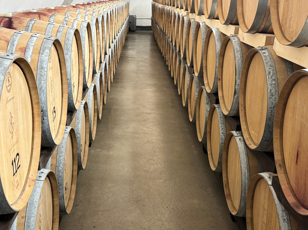 Balla Geza Winery-阿拉德必去景点