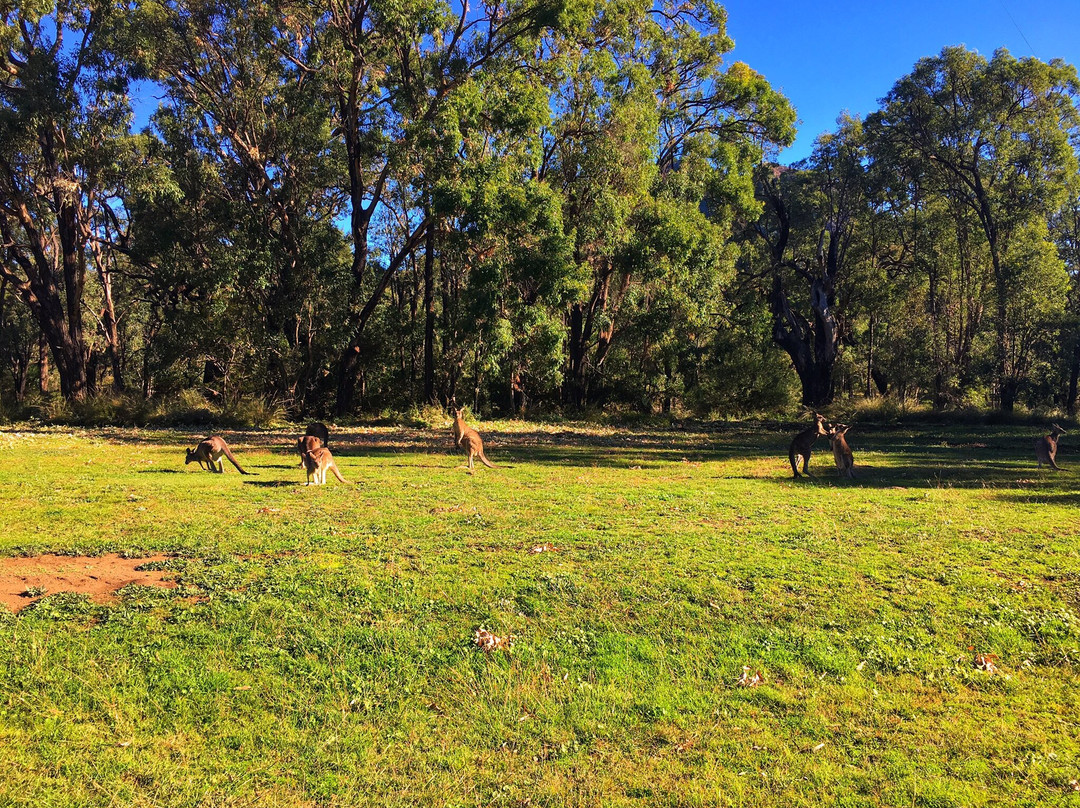 Warrumbungle National Park-Coonabarabran必去景点