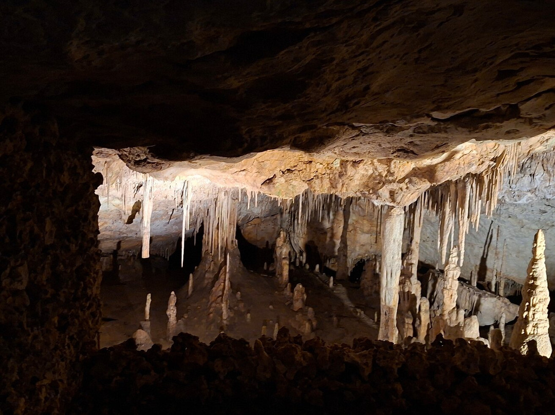 Cuevas del Drach-克里斯托港必去景点