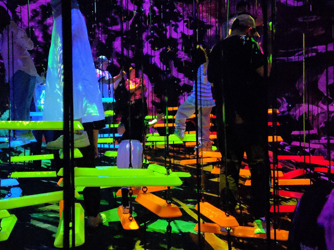 teamLab Planets TOKYO-Toyosu必去景点