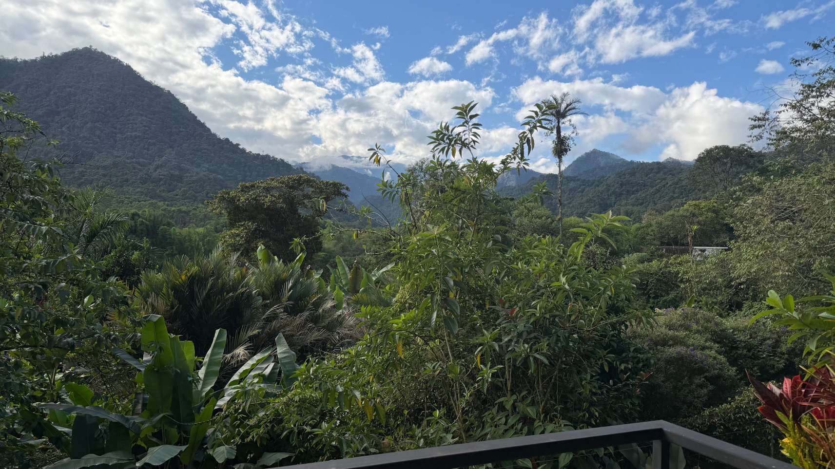 达纳阳台精品旅馆-客卧