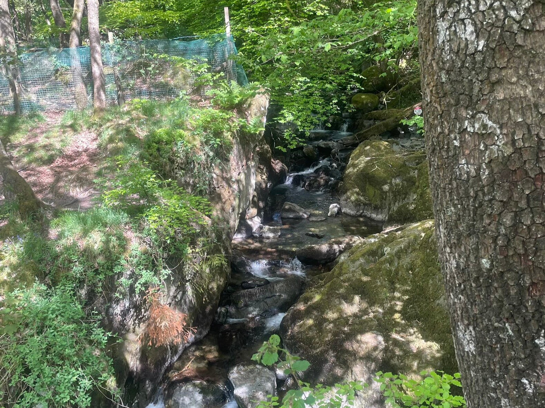 Stock Ghyll Force-安布赛德必去景点