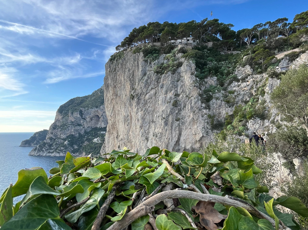 奥古斯都花园-卡碧岛必去景点