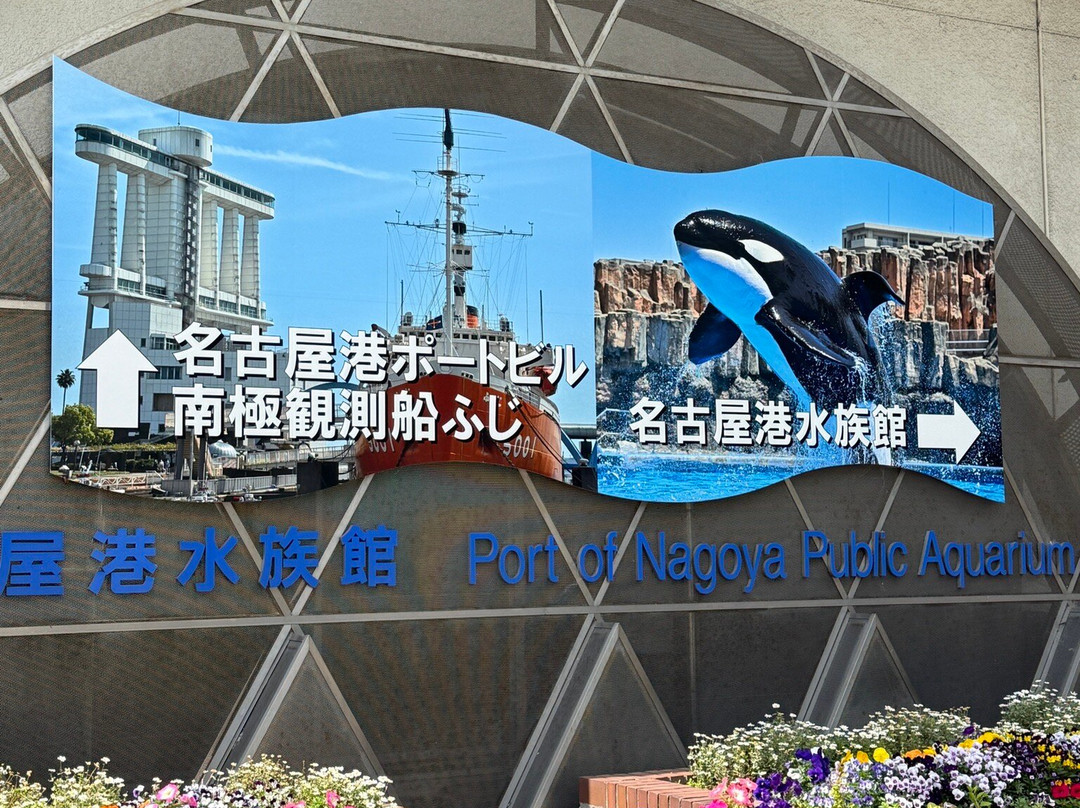 名古屋港水族馆-名古屋市必去景点