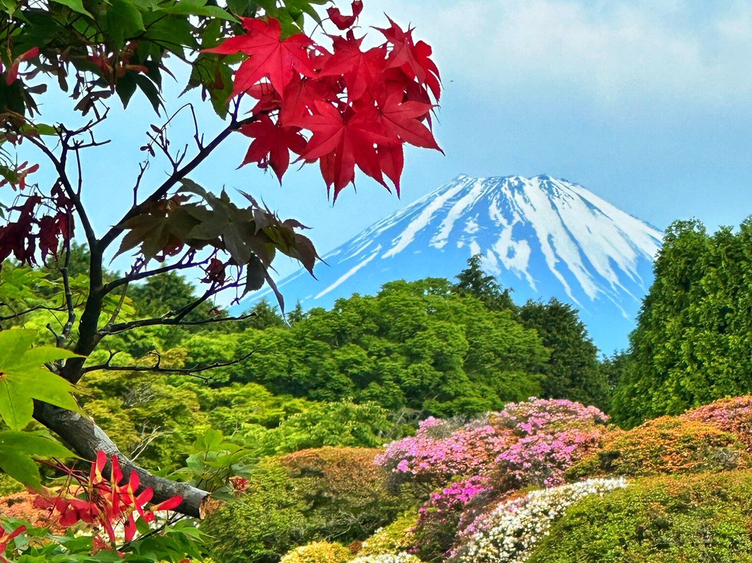 小田急山之酒店主图