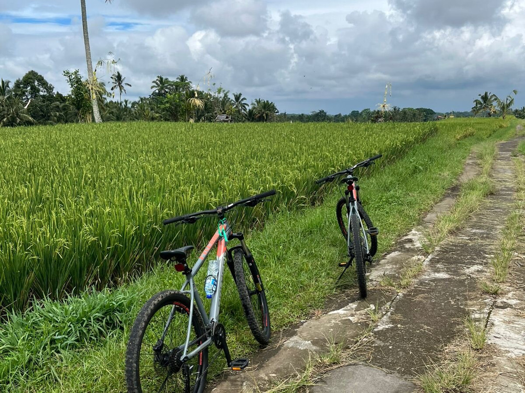 Amara Bali Family Tour-乌布必去景点