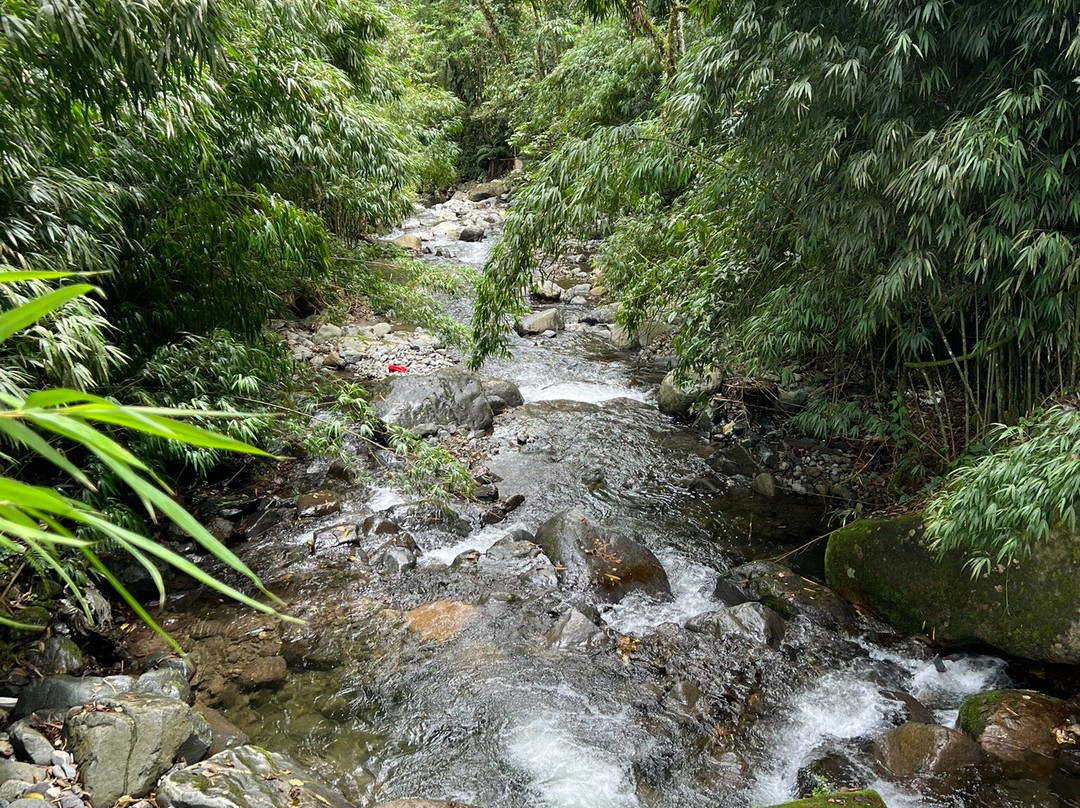 Panama Relocation Tours-波魁特必去景点
