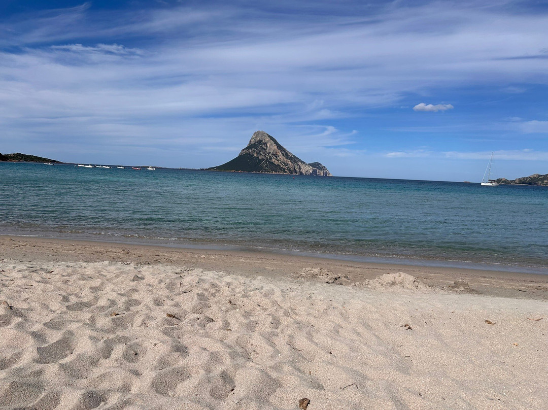 Spiaggia Capo Coda Cavallo-San Teodoro必去景点
