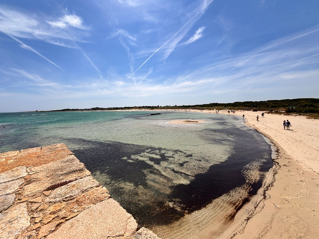 Spiaggia Torre Guaceto-Carovigno必去景点