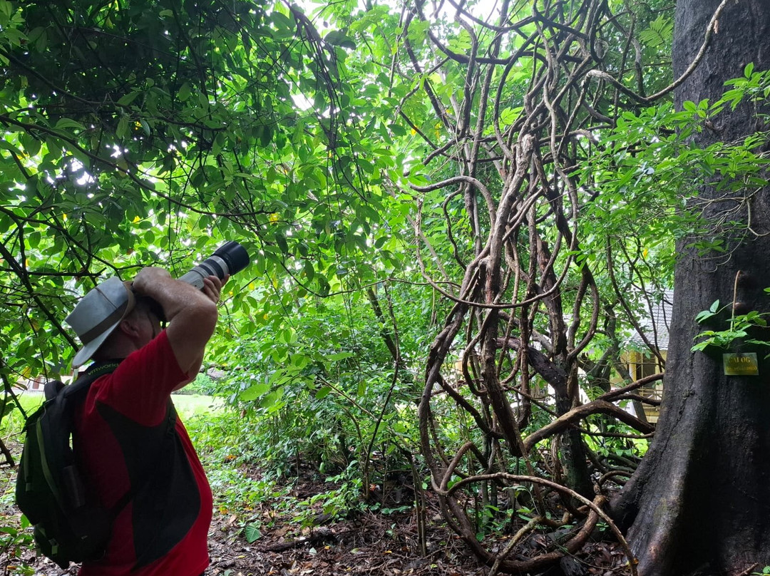 Ujung Kulon Trek-Carita必去景点