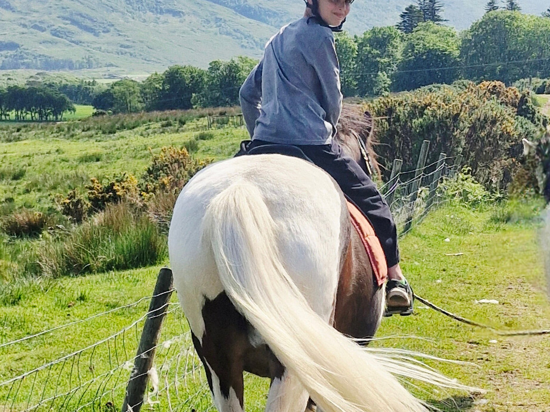Mull Pony Trekking-马尔岛必去景点