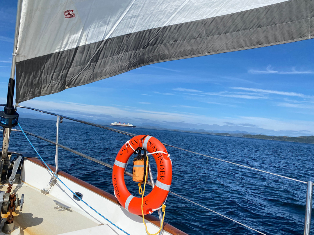 Outer Shores Expeditions-Mill Bay必去景点
