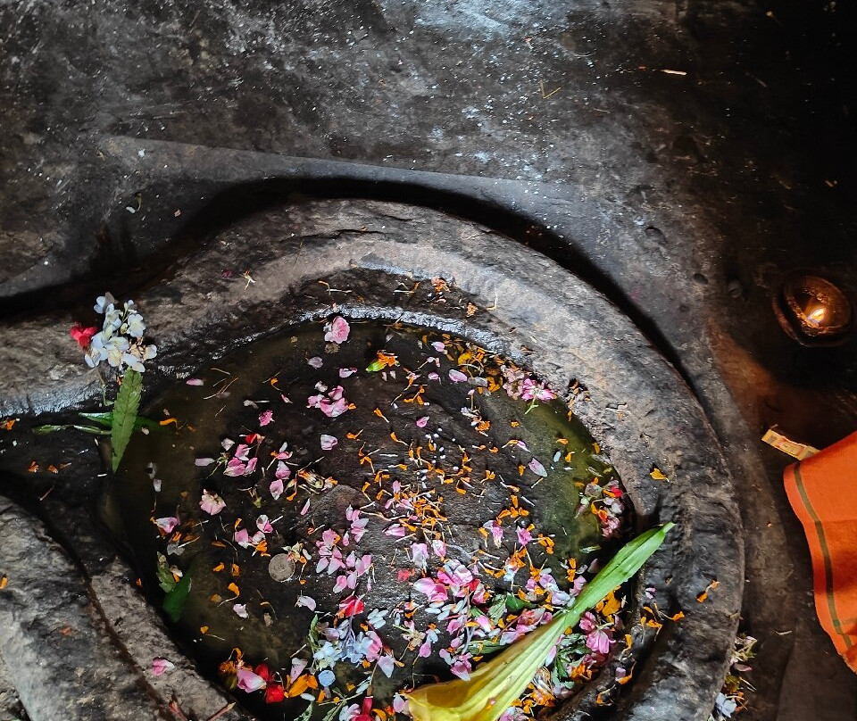 Vridh Jageshwar Temple-Jageshwar必去景点