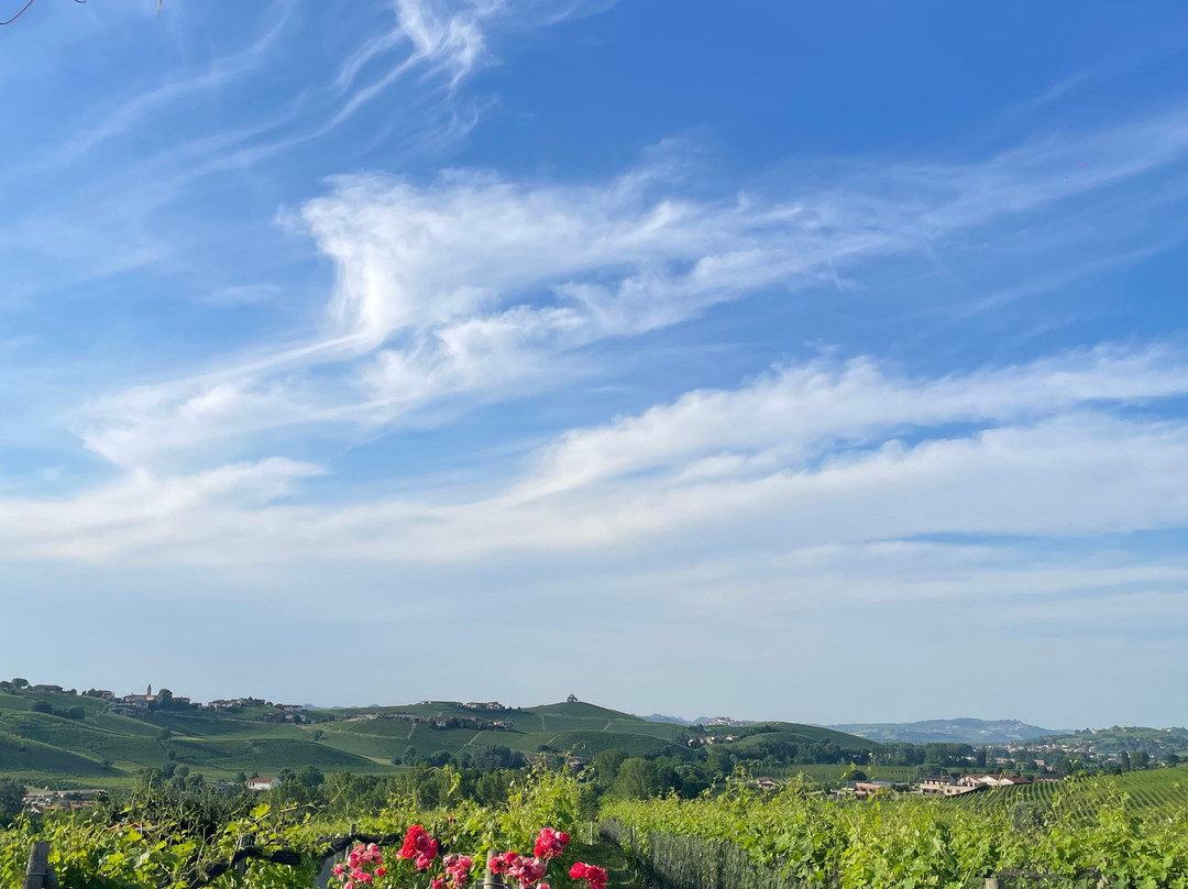 Azienda Agricola Cascina Pugnane S.S. dei F.lli Ghisolfi-Castiglione Falletto必去景点