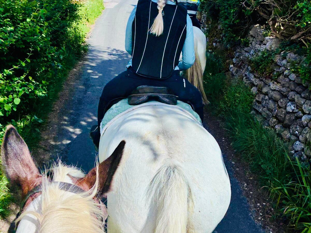 Kilnsey Trekking & Riding Centre-斯基普顿必去景点