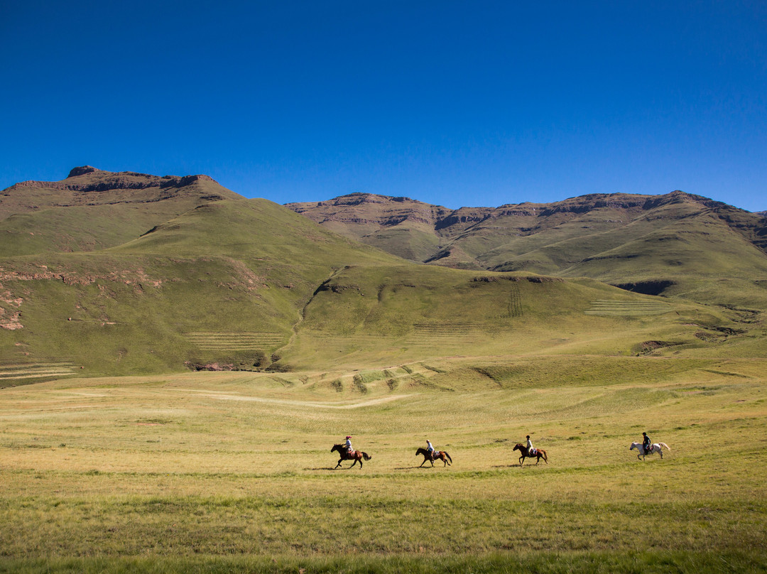 Khotso Horse Trails-安德堡必去景点