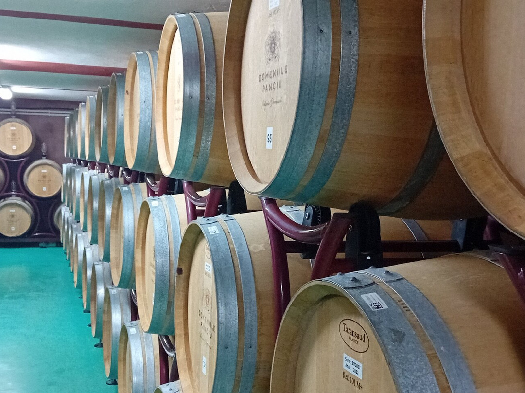 Domeniile Panciu Winery & Resort主图