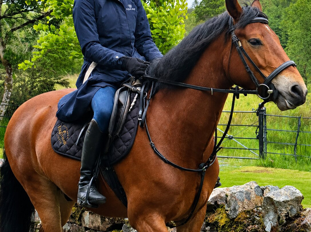 Connemara Equestrian Escapes-Moycullen必去景点