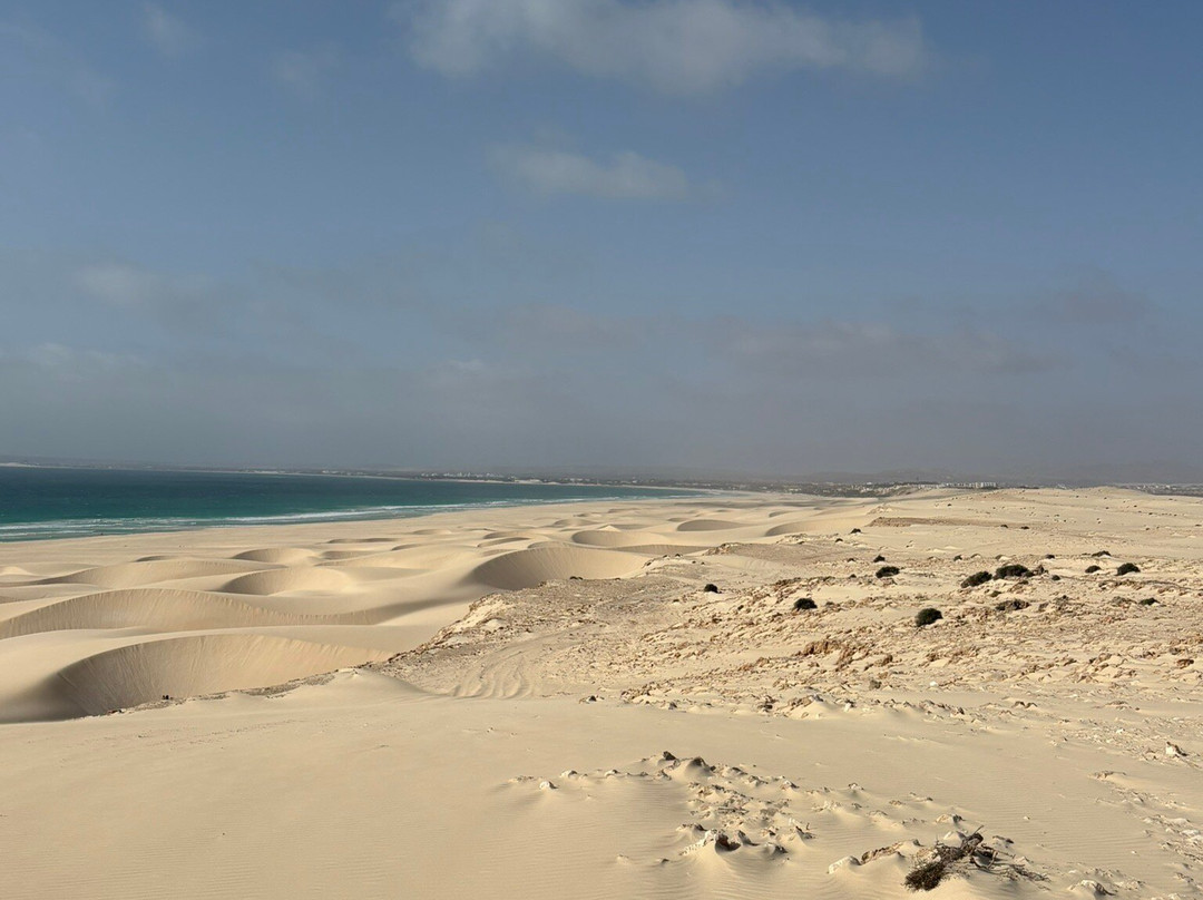 Pier Boa Vista Tours-博阿维斯塔必去景点